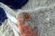 Килим Fully Wooly Коса 1153 фото 13